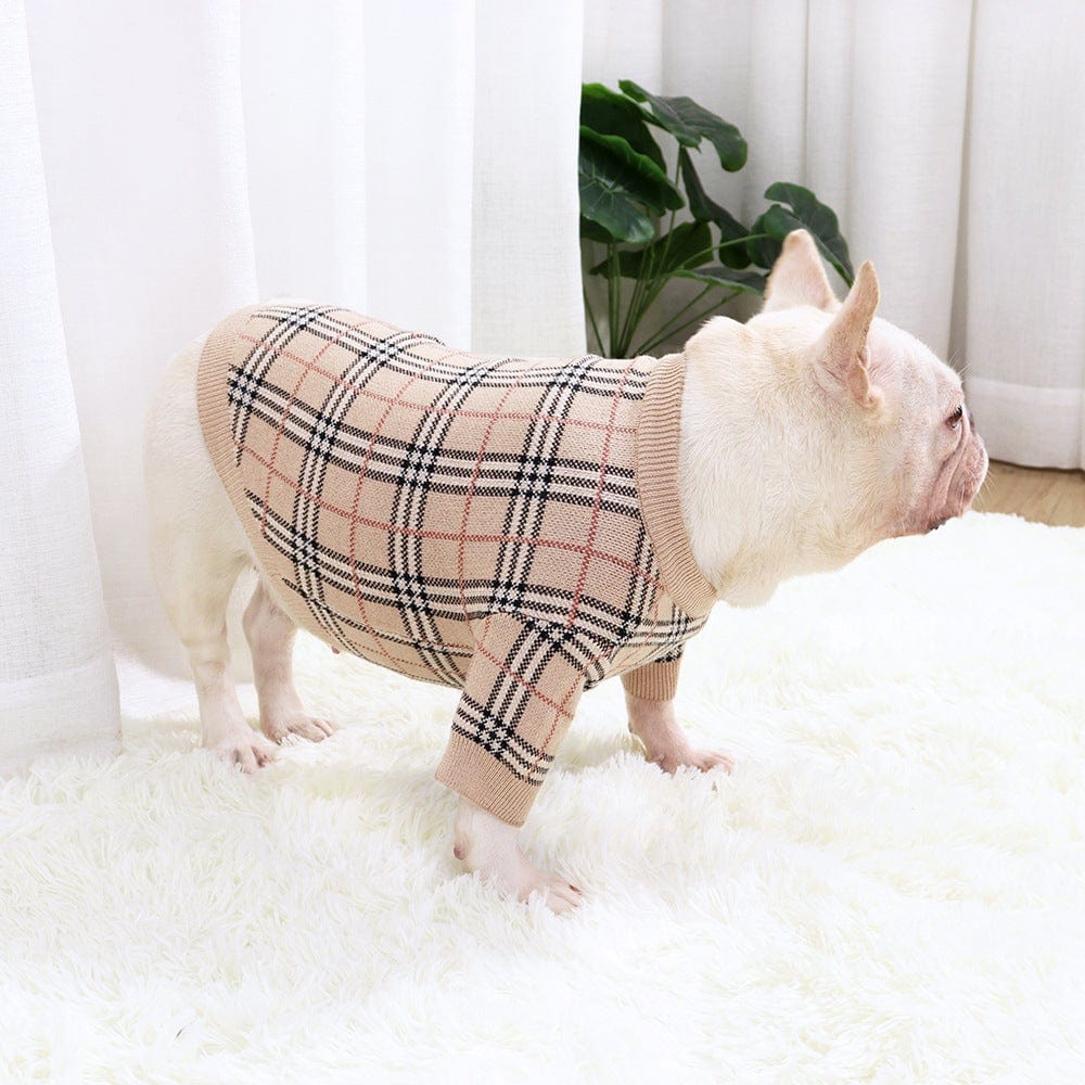 Wool Plaid French Bulldog Sweater