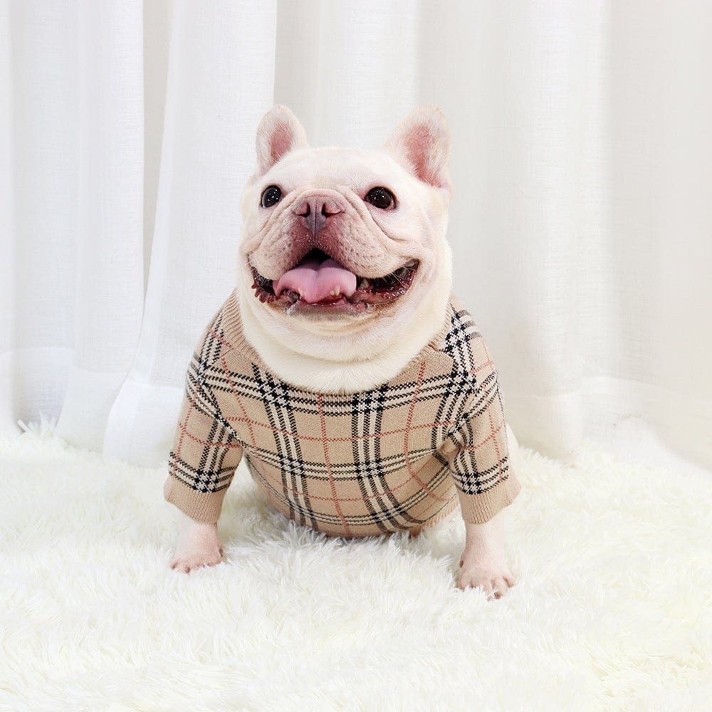 Wool Plaid French Bulldog Sweater