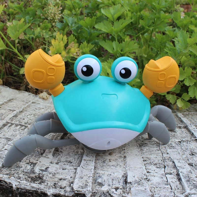 Frenchie interactive Crab Toy