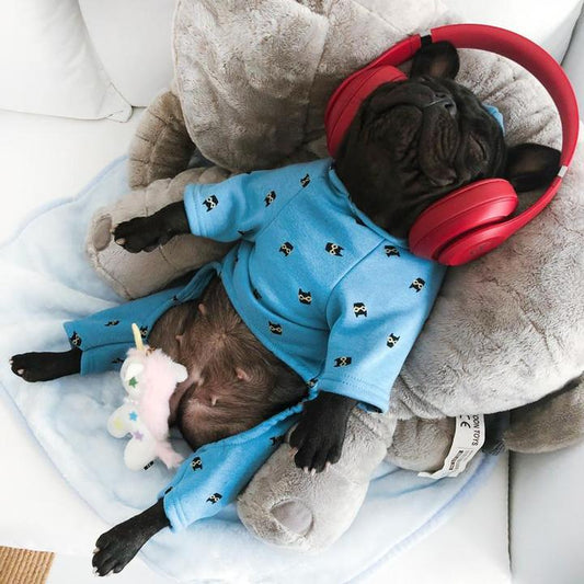 Bandito French Bulldog Hoodie