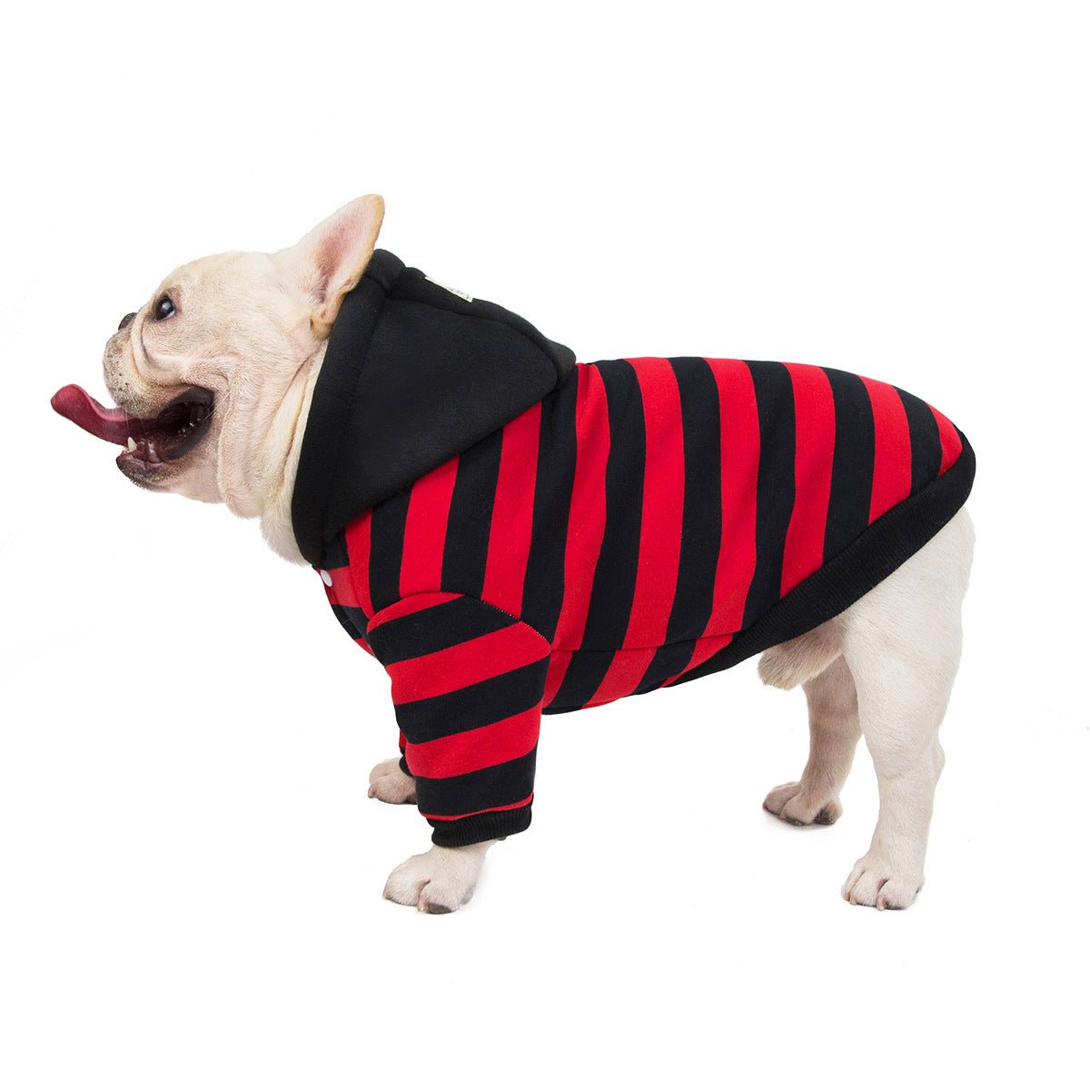 Ultra Soft French Bulldog Hooded Jacket