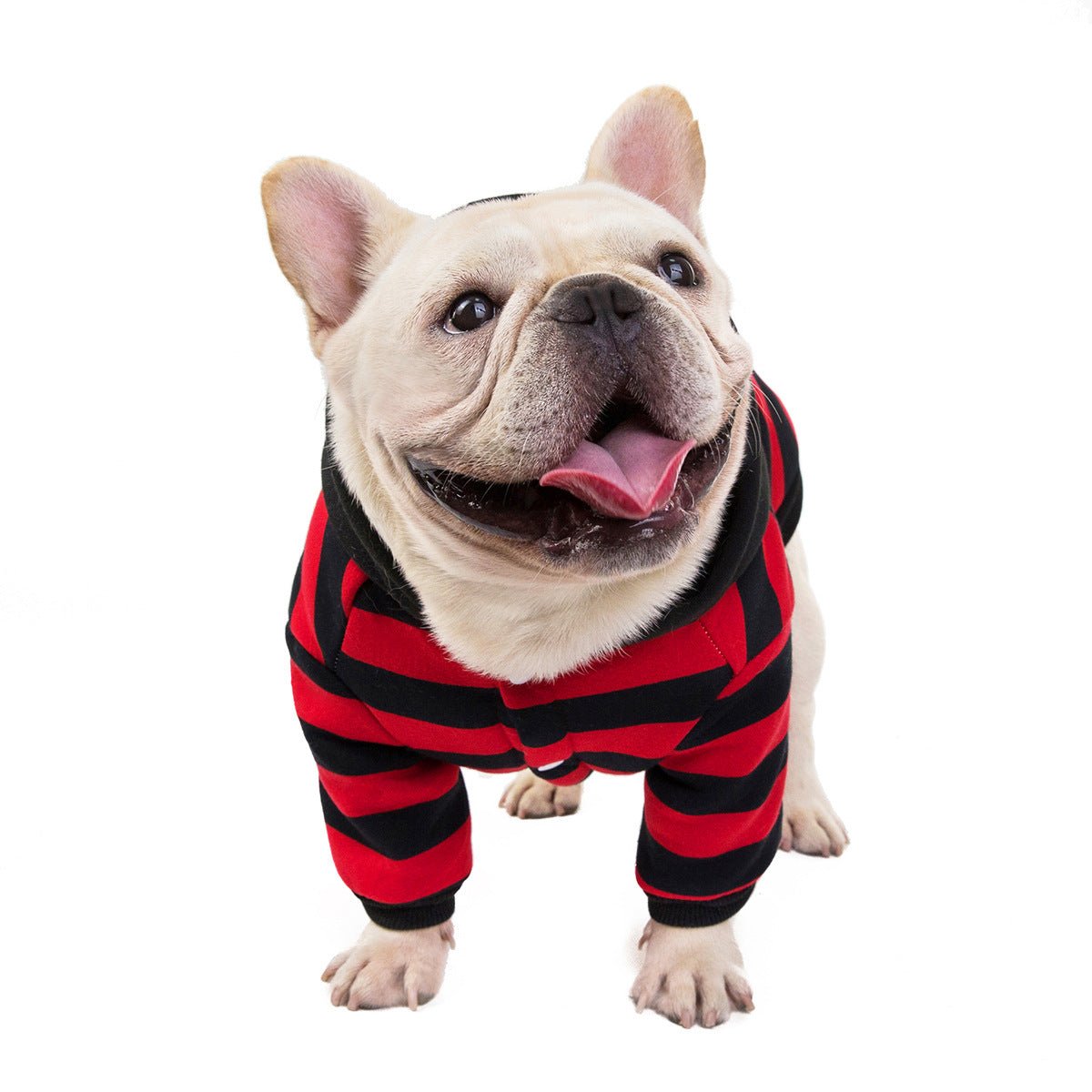 Ultra Soft French Bulldog Hooded Jacket