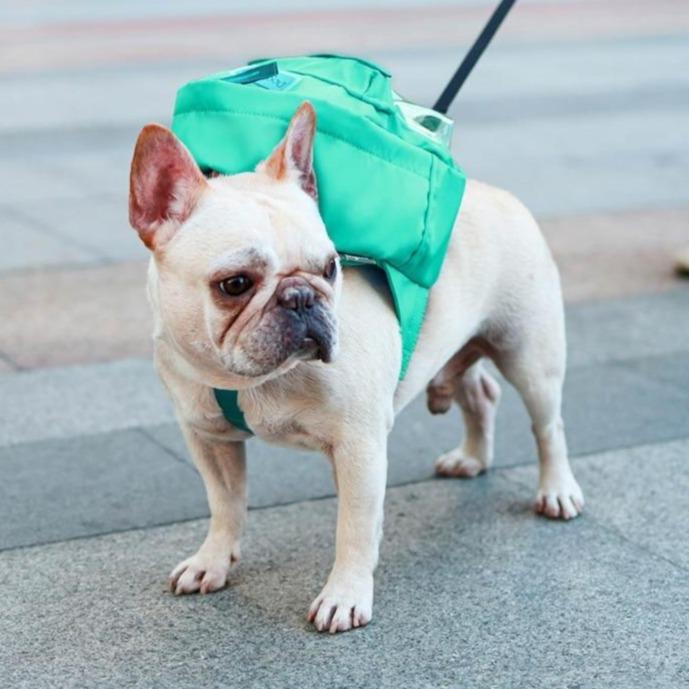 Waterproof French Bulldog Backpack