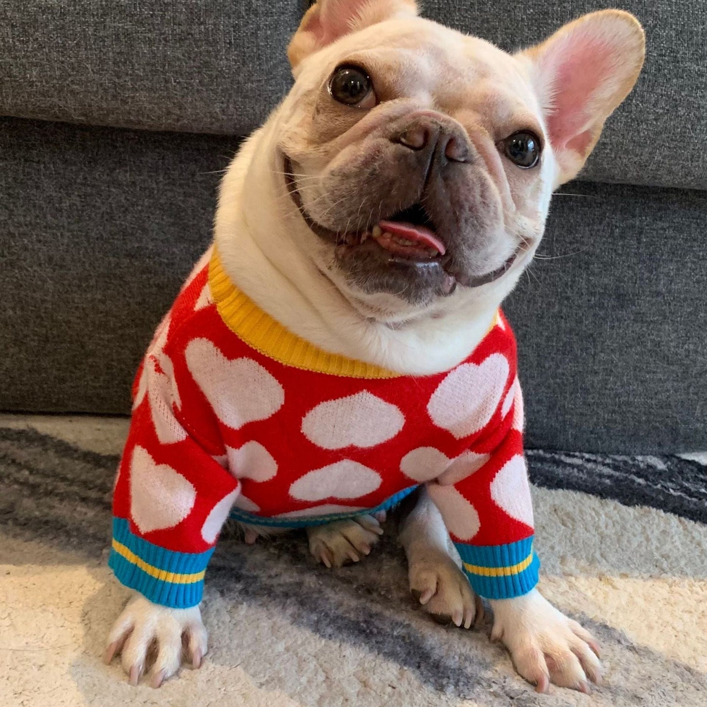 Wool French Bulldog Hearts Sweater