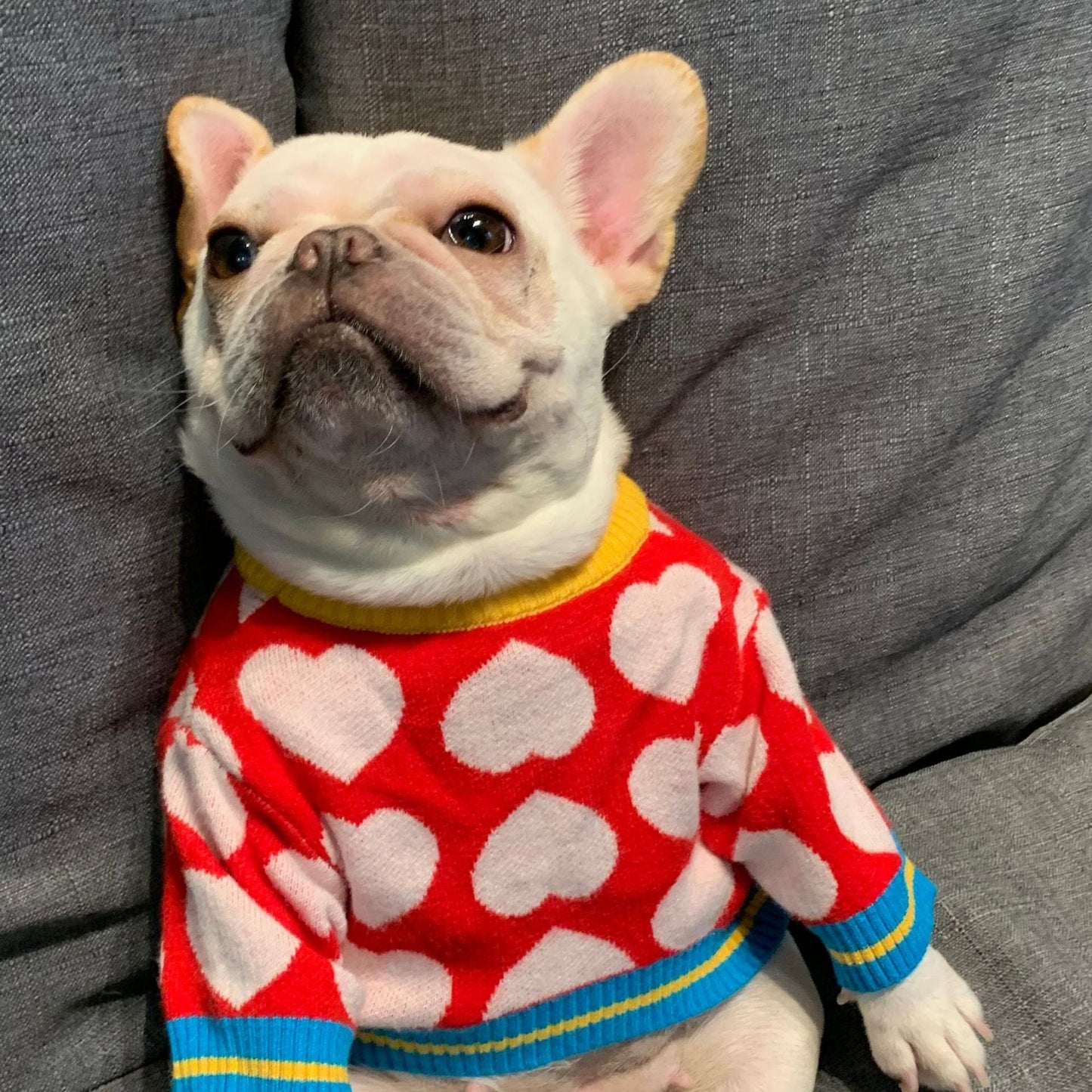 Wool French Bulldog Hearts Sweater