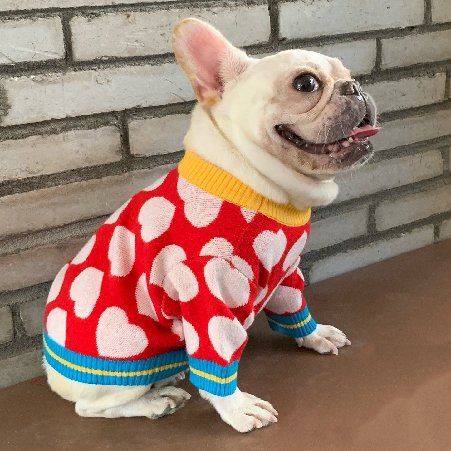 Wool French Bulldog Hearts Sweater