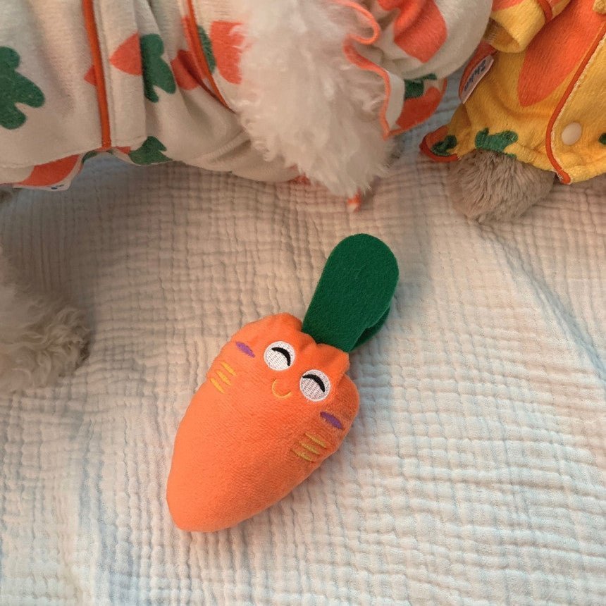 Carrot Voice Dog Toy