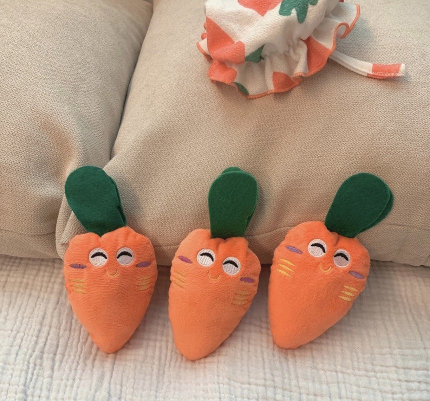 Carrot Voice Dog Toy