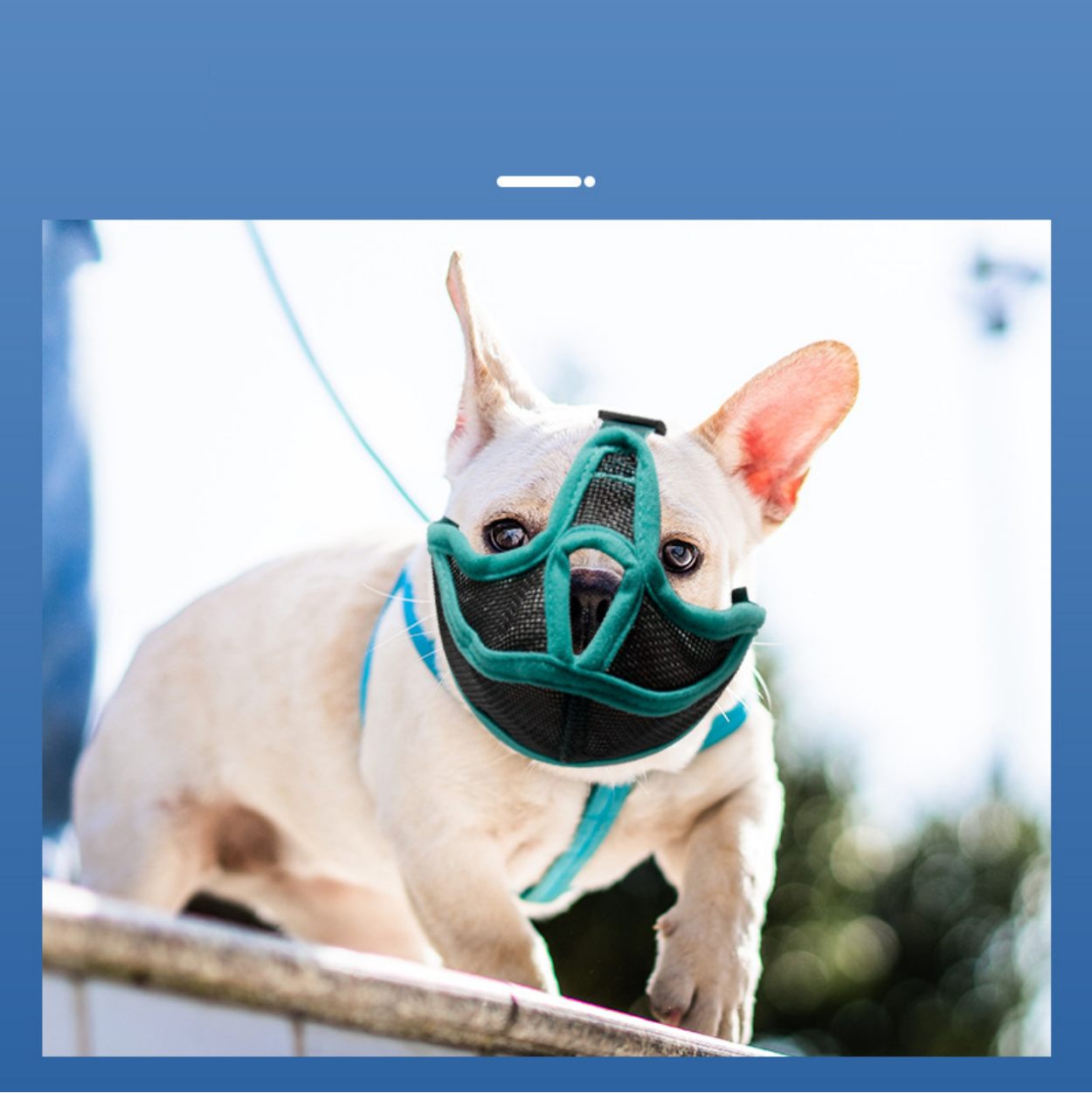 Breathable French Bulldog Muzzle