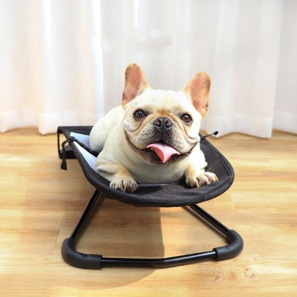 French Bulldog Bliss: The Ultimate Portable Rocking Chair for Pooch Pampering