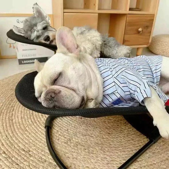 French Bulldog Bliss: The Ultimate Portable Rocking Chair for Pooch Pampering