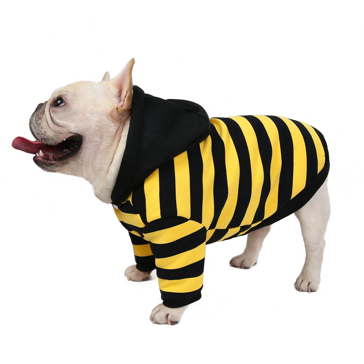 Ultra Soft French Bulldog Hooded Jacket