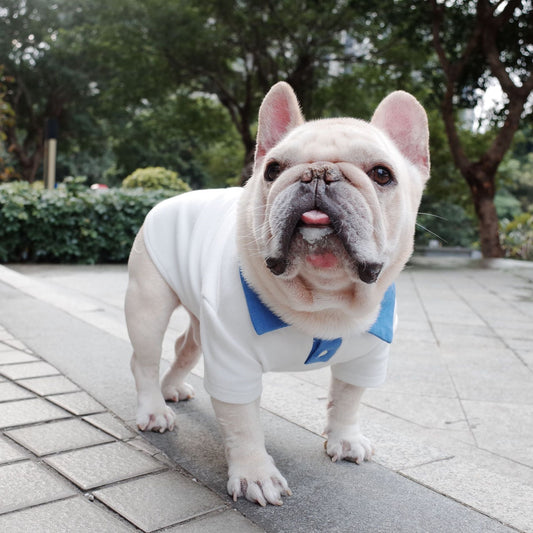 White French Bulldog Shirt