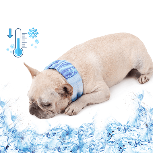 Ultra Cooling French Bulldog Bandana