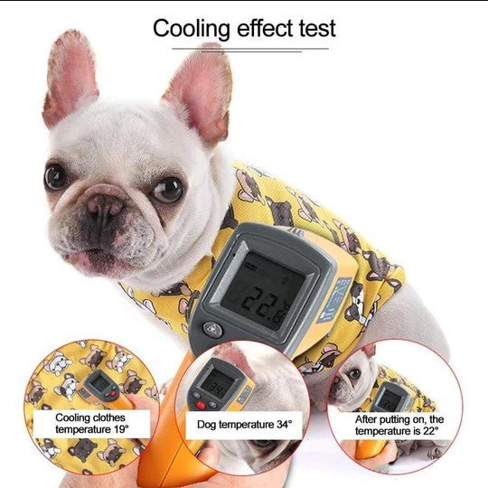 French Bulldog Cooling Vest