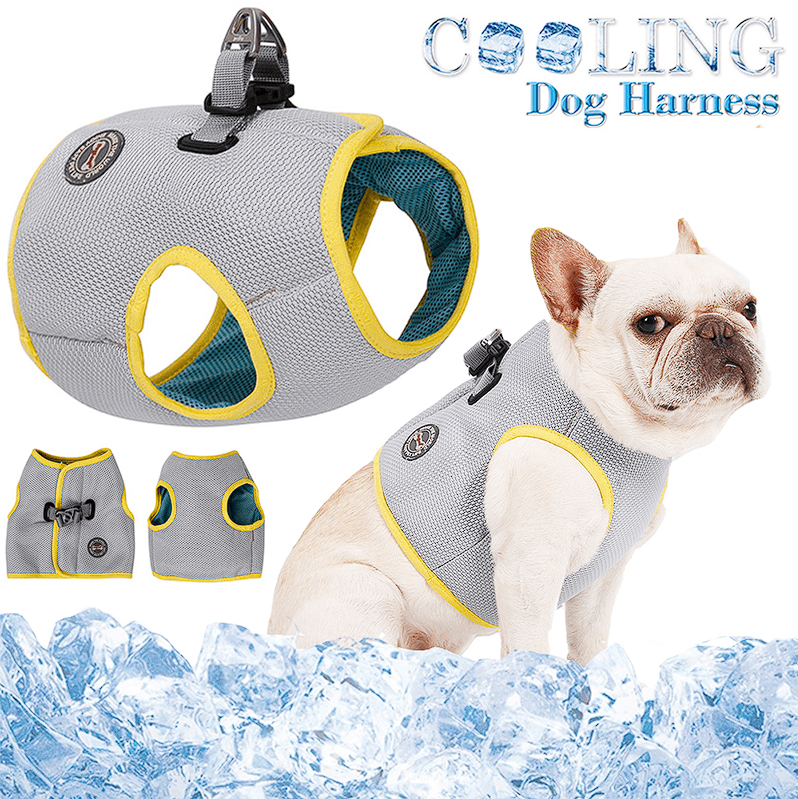 Cold French Bulldog Cooling Vest