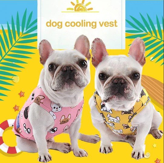 French Bulldog Cooling Vest