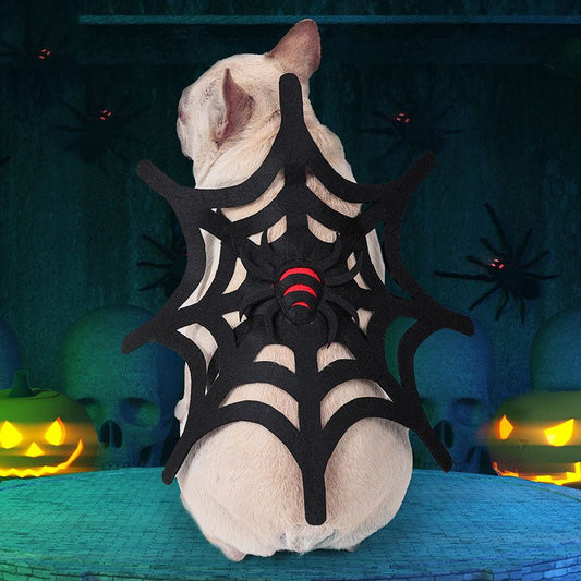 French Bulldog Spider Costume