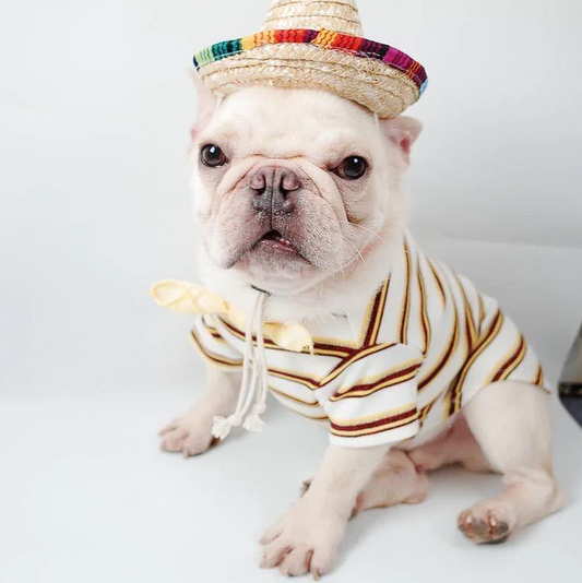 Straw French Bulldog Hat