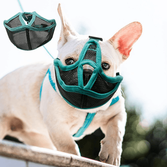 Breathable French Bulldog Muzzle