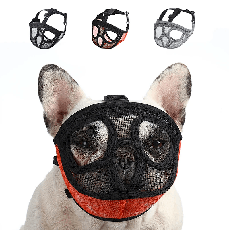 French Bulldog Muzzle