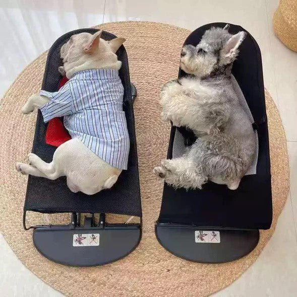 French Bulldog Bliss: The Ultimate Portable Rocking Chair for Pooch Pampering