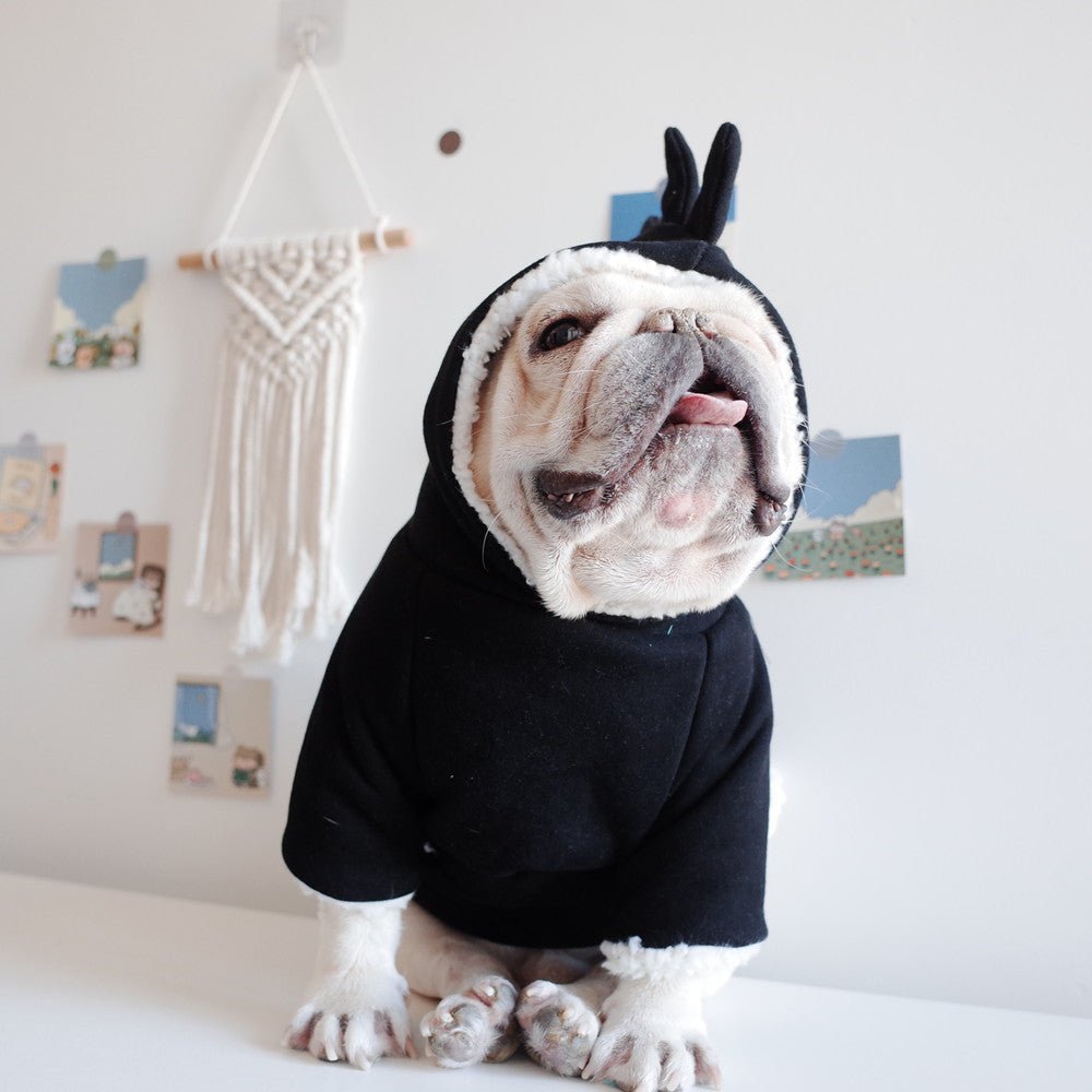 Black French Bulldog Hoodie