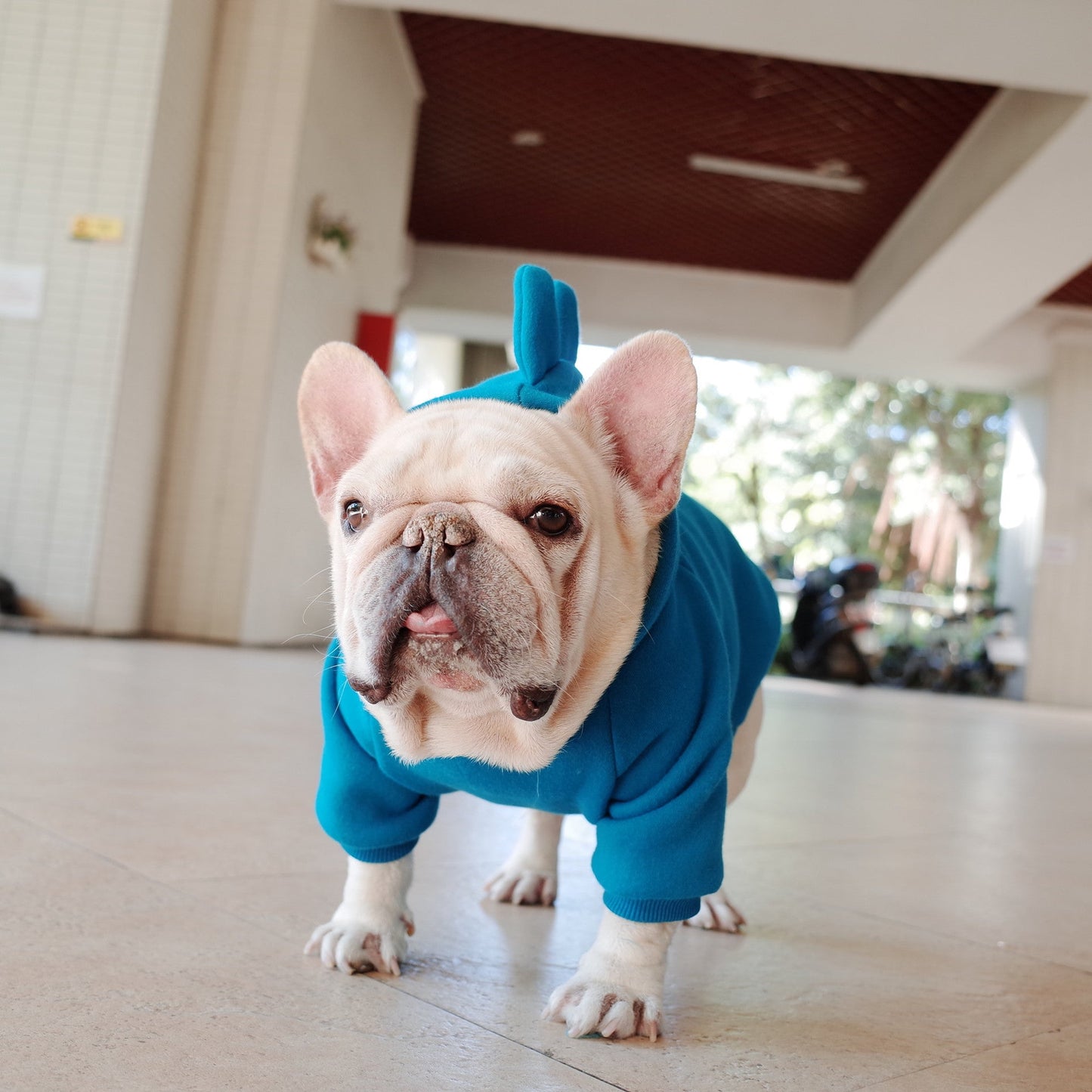 Blue French Bulldog Hoodie