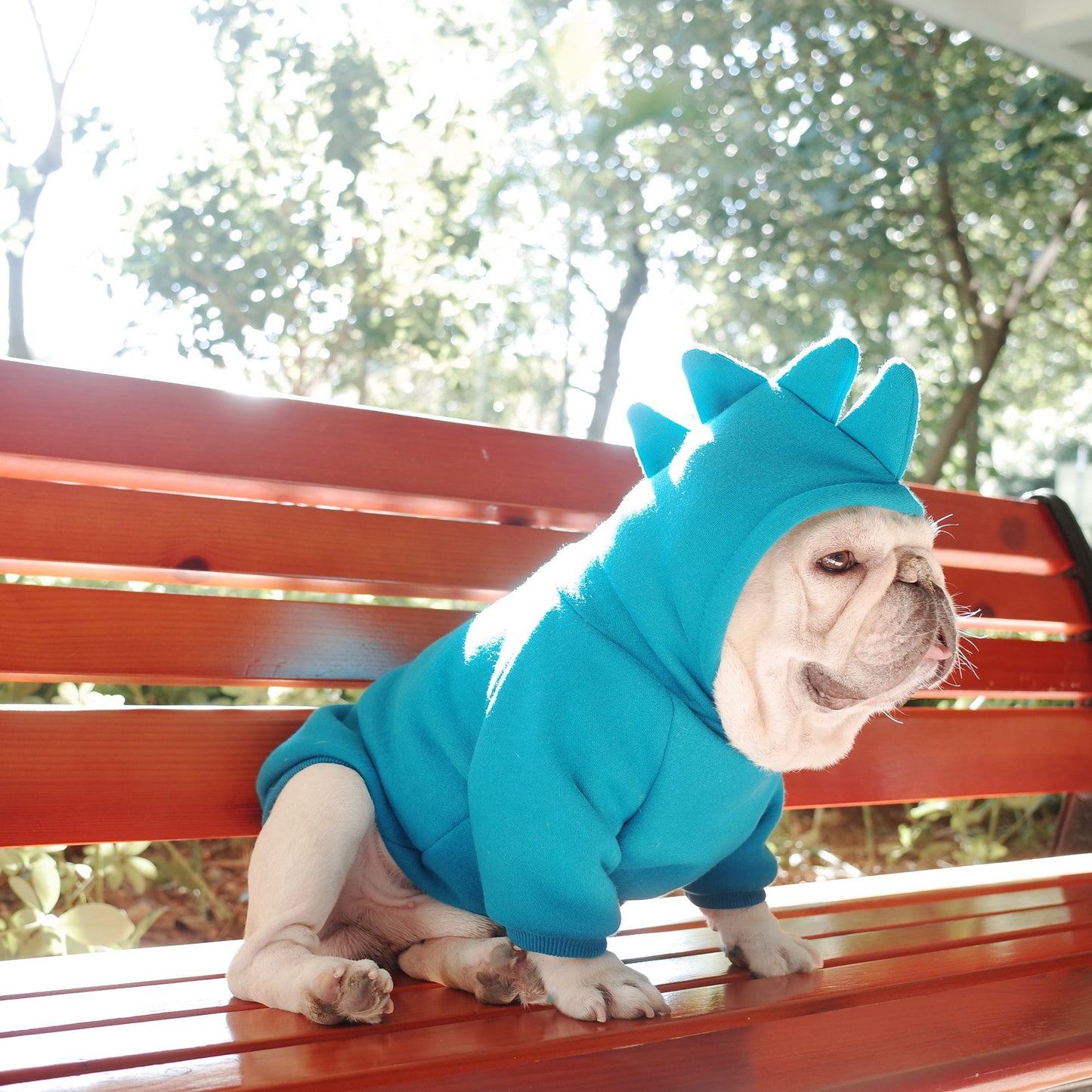 Blue French Bulldog Hoodie