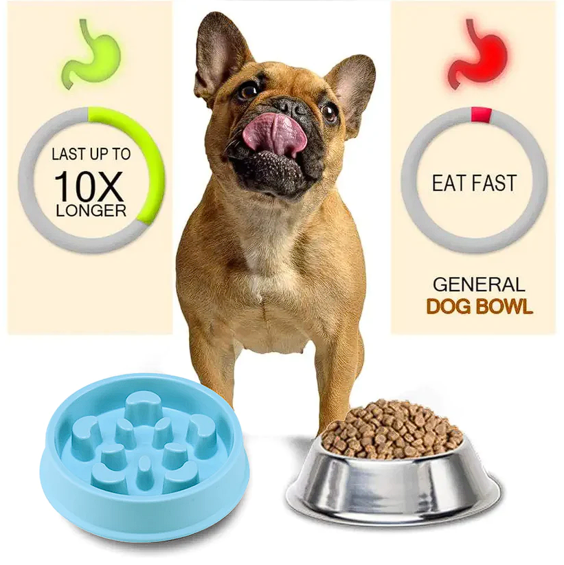 Anti Choke Frenchie Feeding Bowl