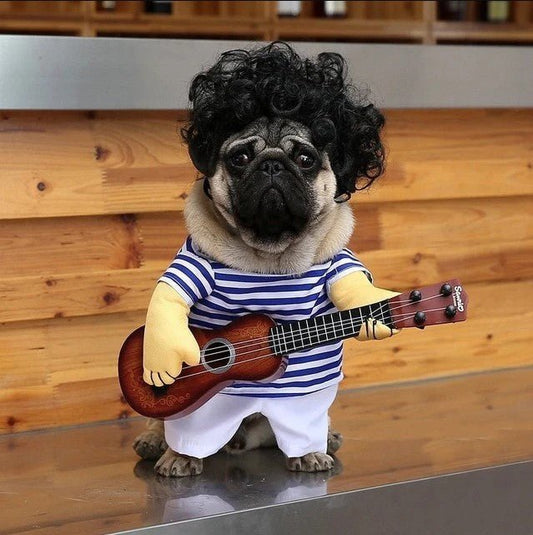 Frenchie Halloween Guitarist Costume