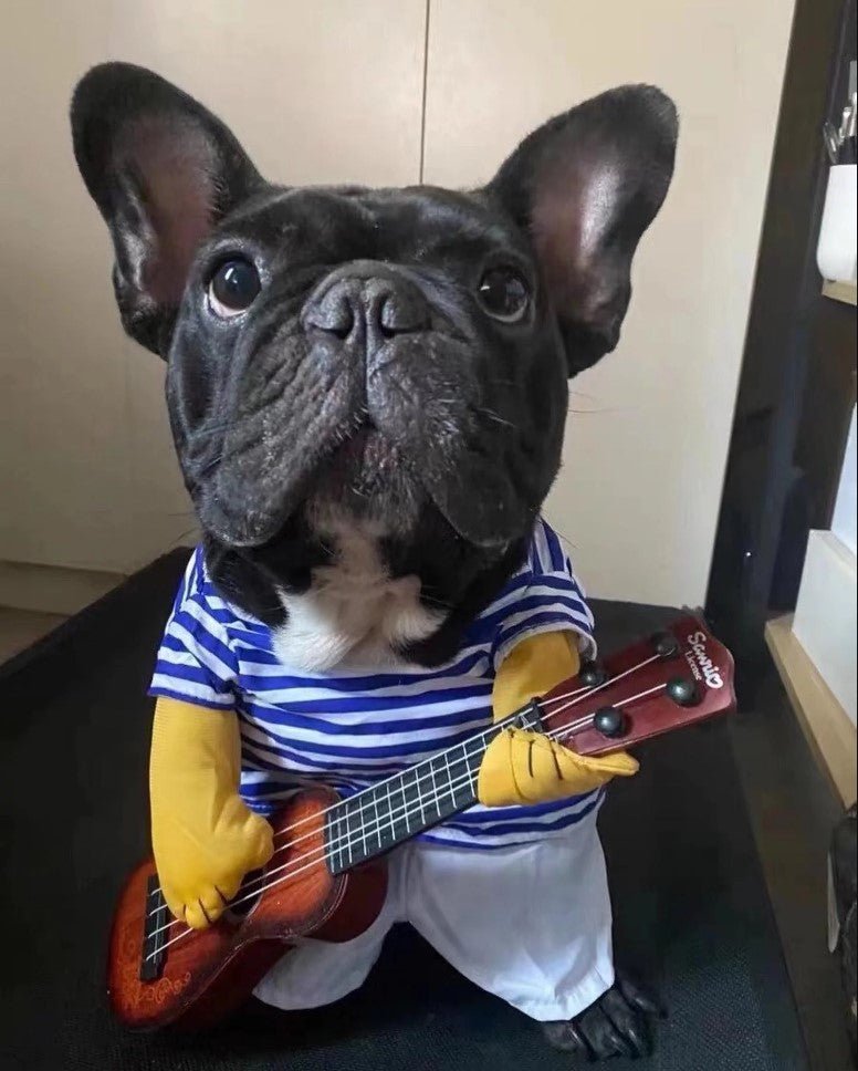 Frenchie Halloween Guitarist Costume