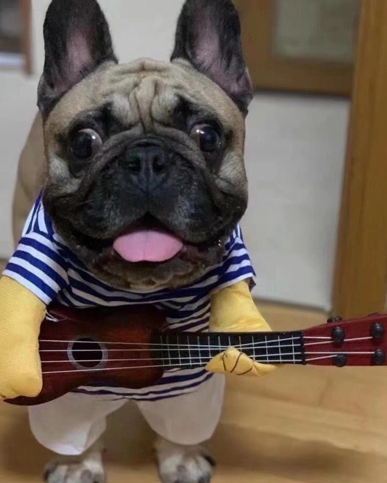Frenchie Halloween Guitarist Costume
