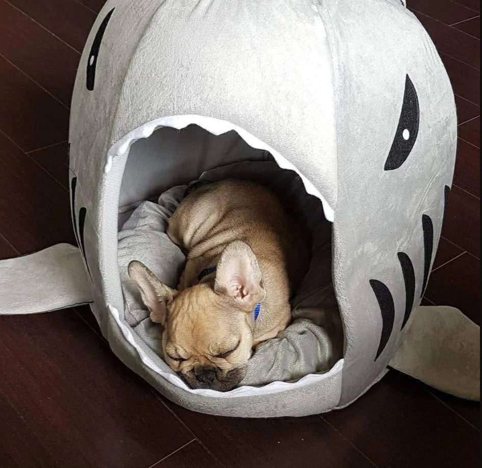 Frenchie House Shark