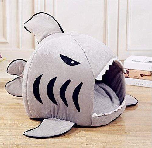 Frenchie House Shark