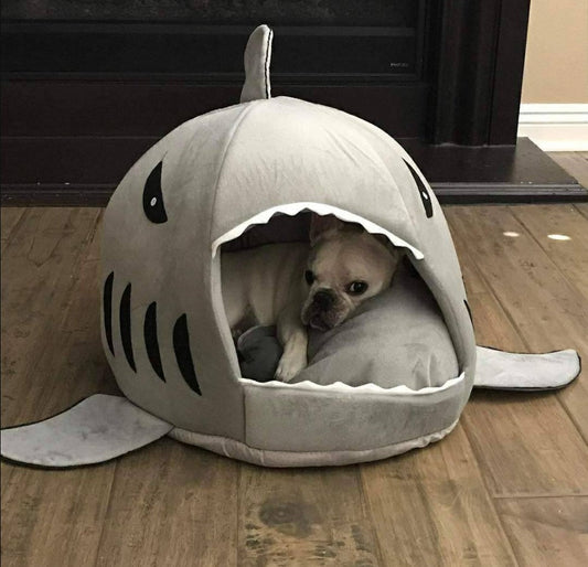 Frenchie House Shark