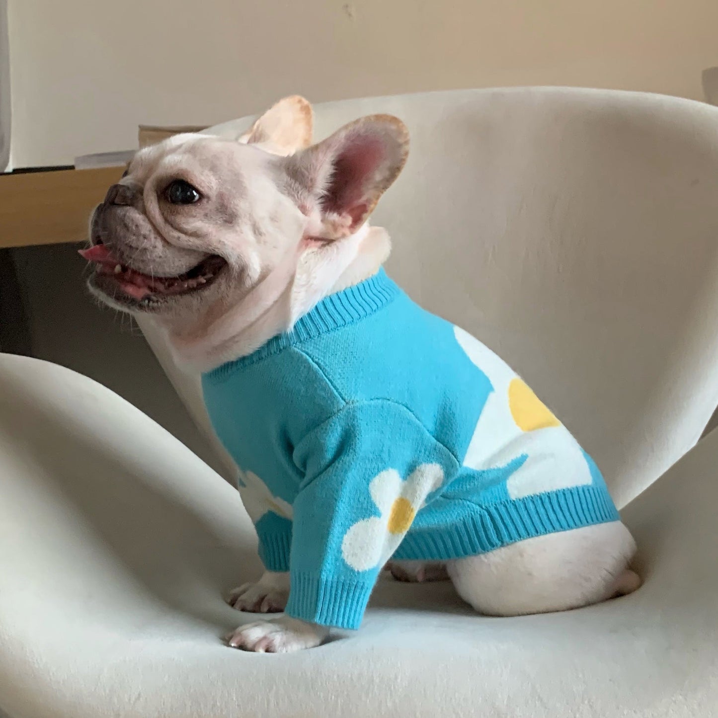 White Flower Frenchie Sweater