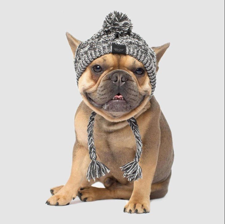 Winter Hat for French Bulldog