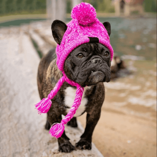 Pink Hat for French Bulldog