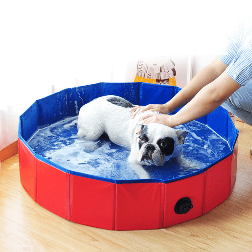 Swimming Pool for Dogs