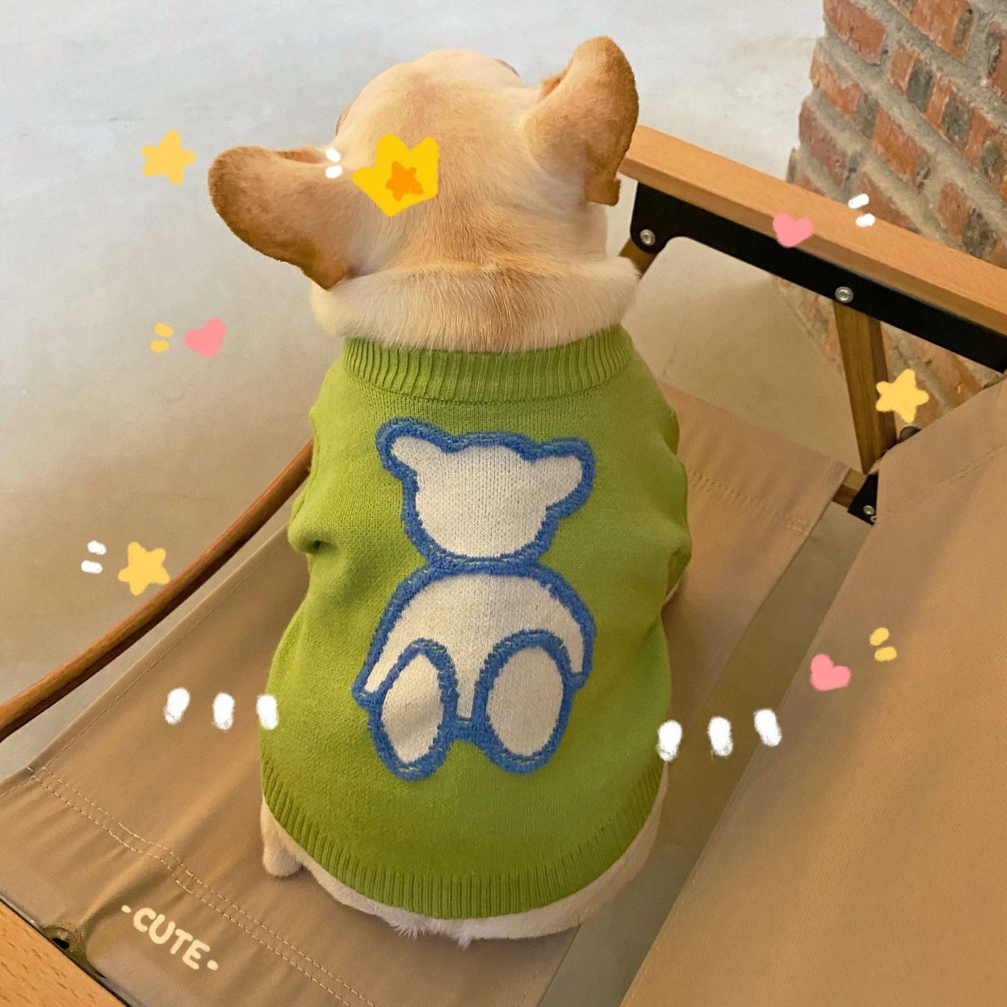 Green Woolen French Bulldog Sweater